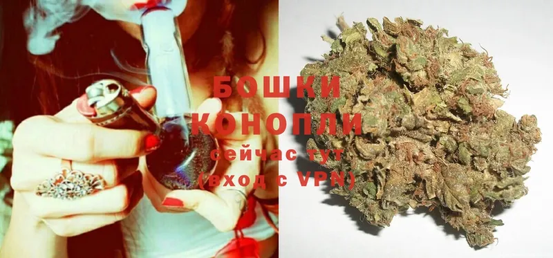 Бошки Шишки White Widow  mega сайт  Дубна  закладка 